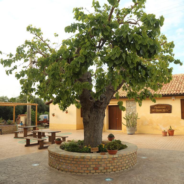 Al Grande Gelso Villa Cariati Exterior photo